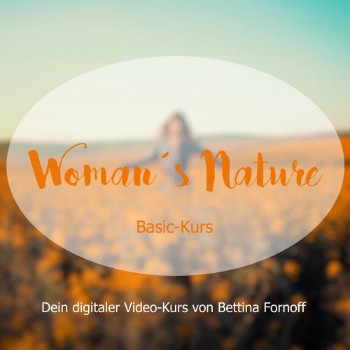 Kursvorschaubild